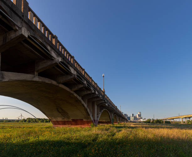 istock Dallas Skyline and Wildflowers During Sunset, Dallas, Texas. 1154799954