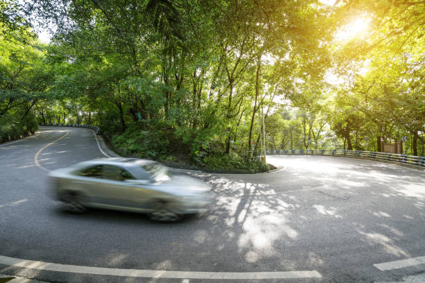 Cars pass through the forest from asphalt road