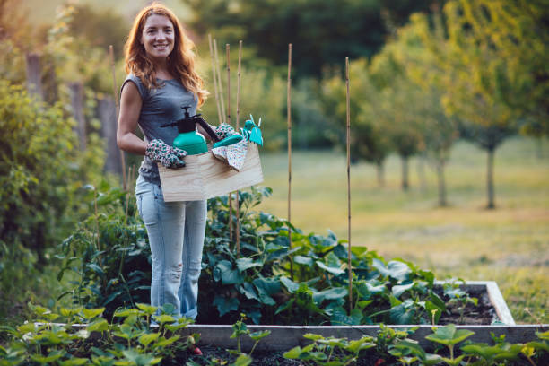 istock Healthy Vegan Lifestyle 1154802559