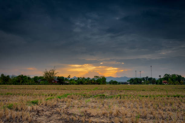 istock Field agriculture and rain clouds with sunrays 1154804995