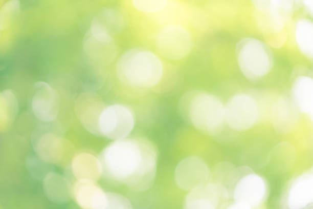 istock abstract blur green color for background,blurred and defocused effect spring concept for design 1154810261