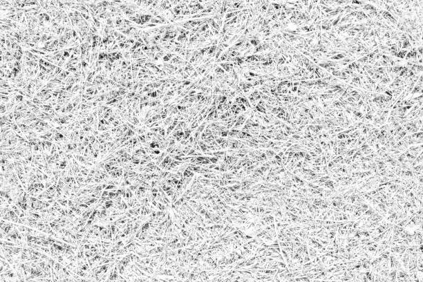 istock Black and white texture surface of mown grass on the ground. 1154815948