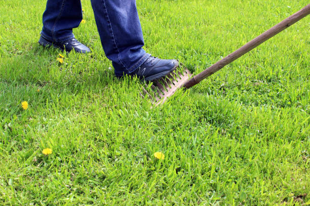 istock The foot steps on the thrown rake on the green grass. 1154816049