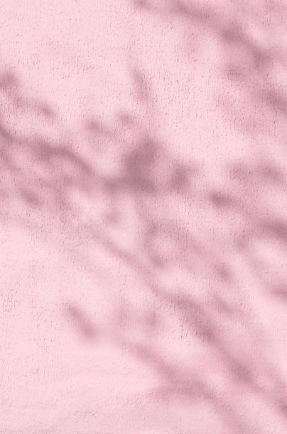 istock shadows of foliage on a pink plastered wall 1154817372