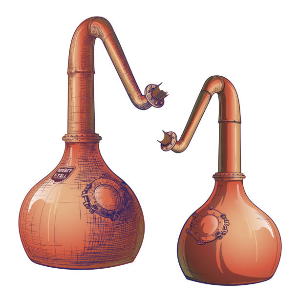 ilustraciones, imágenes clip art, dibujos animados e iconos de stock de whisky de grano a botella. un cisne de cobre de cuello stills. dibujo de estilo de boceto pintado. - alambique