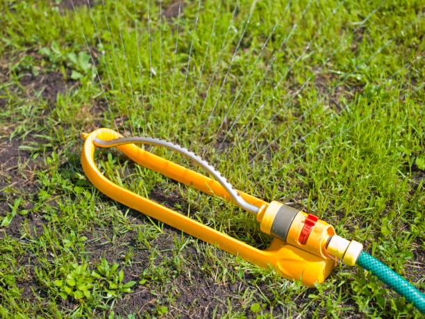 istock garden sprinkler watering lawn 1154823867