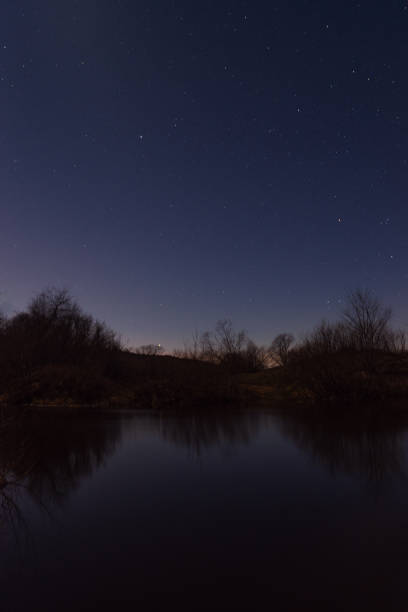 forest by the river starry night in the moonlight - lake murray imagens e fotografias de stock