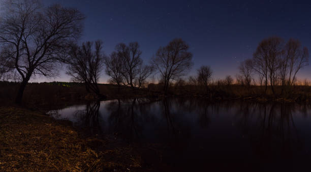 gran bosque panorámico junto al río noche estrellada a la luz de la luna - lake murray fotografías e imágenes de stock