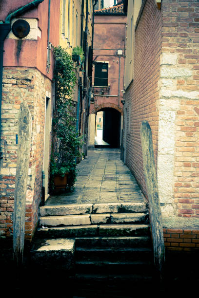 istock Alley in Venice 1154824374
