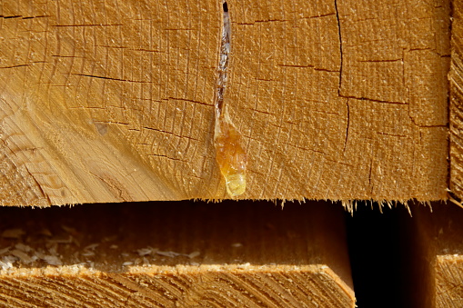 Resin drops on one piece of timber