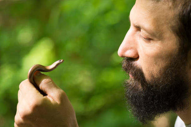man holding little snake The bearded man is holding a little snake in hand on green background. snakes beard stock pictures, royalty-free photos & images