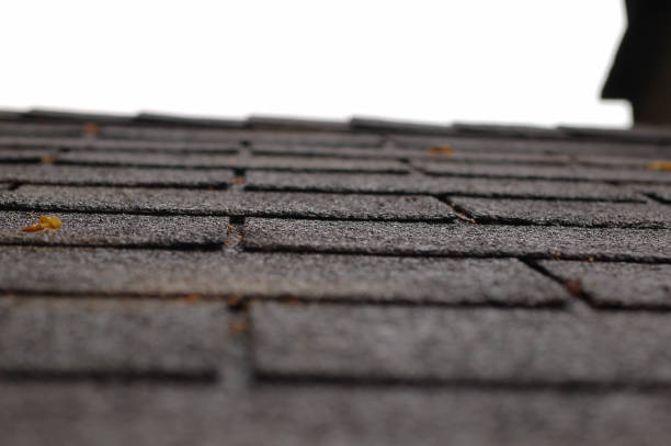 istock canadian tiles 1154833934