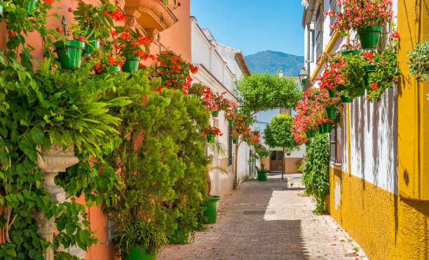 la bellissima estepona, piccola città nella provincia di malaga, in spagna. - provincia di málaga foto e immagini stock