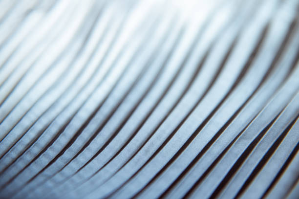 istock natural texture of pleated fabric 1154837815