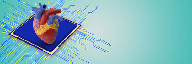 istock Using high technology in medical health concept. 3D human heart model image with CPU and computer circuit background. 1154838366
