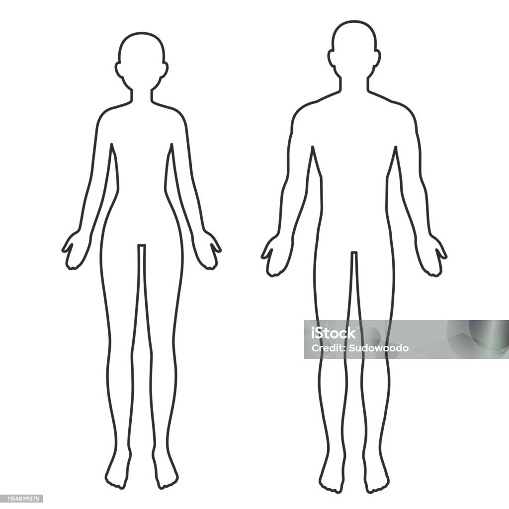 Male And Female Body Outline Stock Illustration - Download Image Now - The  Human Body, Outline, In Silhouette - iStock