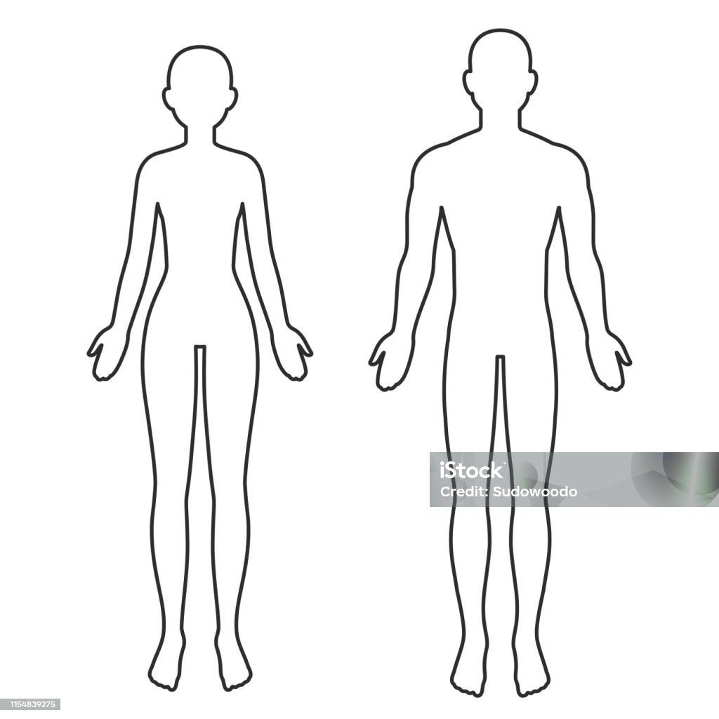 Male And Female Body Outline Stock Illustration - Download Image Now - The Human Body, Outline, In Silhouette - iStock Male And Female Body Outline Stock Illustration - Download Image Now - The Human Body, Outline, In Silhouette - iStock