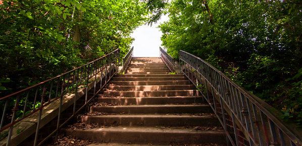 Steps in the woods in Highland Park, located in Pittsburgh, Pennsylvania, USA on a sunny day