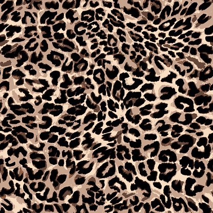 Leopard Print Pictures | Download Free Images on Unsplash