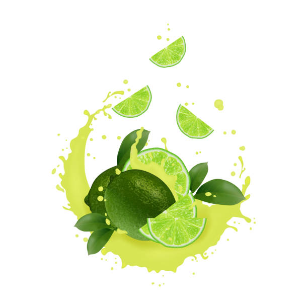 istock Fresh lime with realistic splash   illustration. Falling slices in juice, milk, chocolate. 1154848317