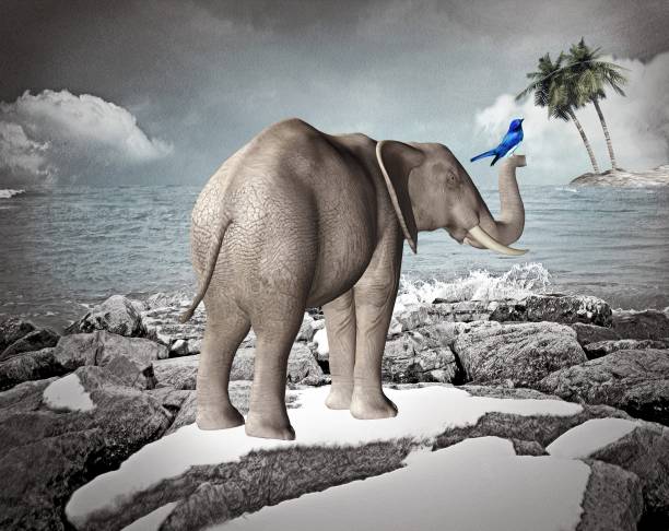istock An elephant and a bird in a snowy surreal landscape 1154851640