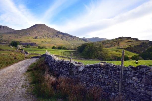 la strada per il vecchio di consiton - old man of coniston foto e immagini stock