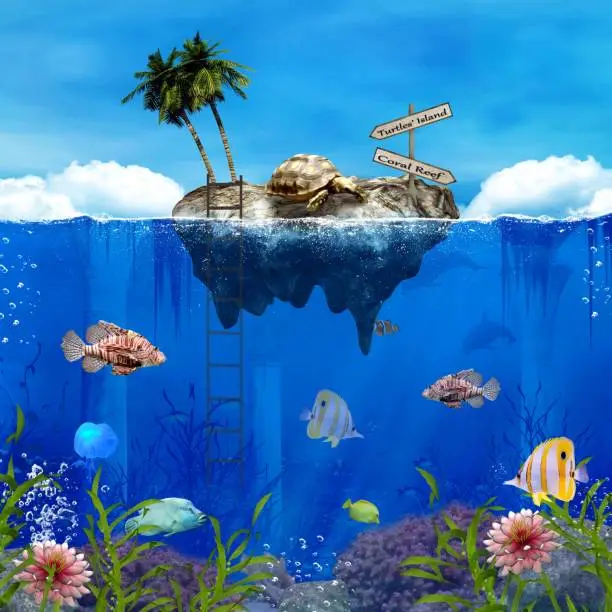 Photo of Fantasy turtles island by the coral reef