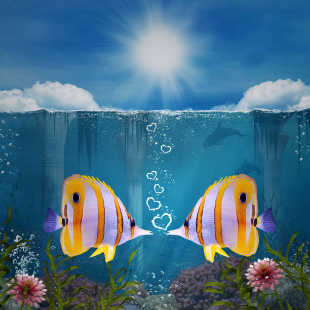 The concept of love and friendship portrayed by two fish in a tropical sea scenery