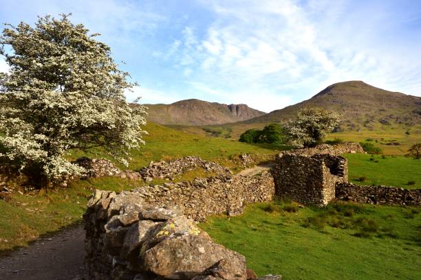 The road to the Old Man of Coniston Old Man of Coniston and the Furness countryside sheep shed stock pictures, royalty-free photos & images