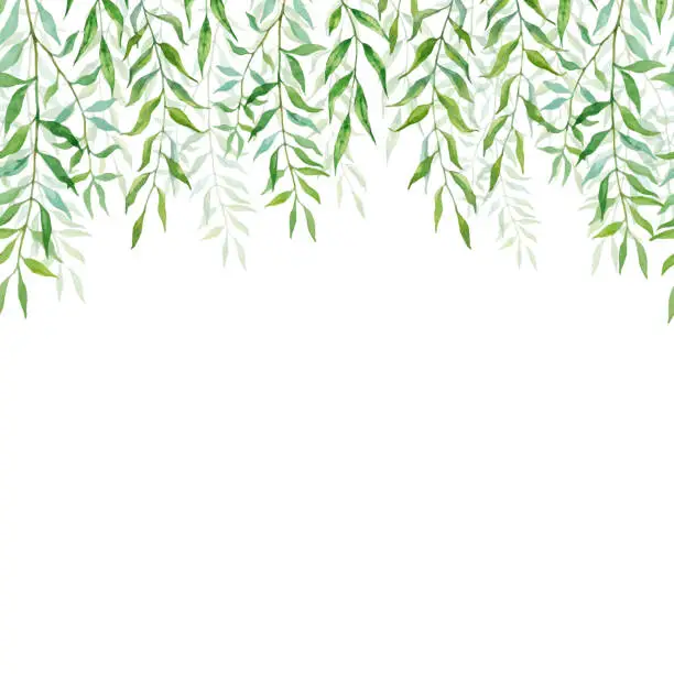Vector illustration of Horizontal Seamless background with branches and leaves of willows