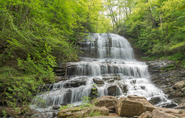 Waterfall In Summertime in Appalachia Waterfall In Summertime in Appalachia great smoky mountains national park photos stock pictures, royalty-free photos & images
