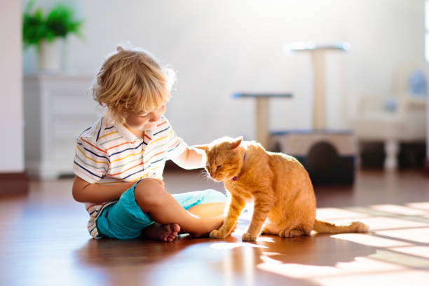 istock Child playing with cat at home. Kids and pets. 1154858099