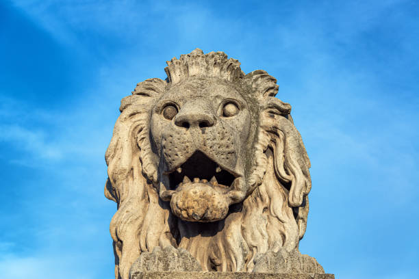 lion on budapest chain bridge - chain bridge budapest bridge lion imagens e fotografias de stock