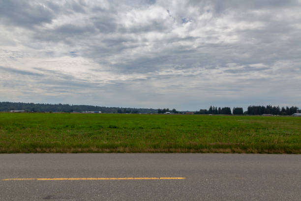 istock Agricultural field seen from road on a cloudy day 1154858430