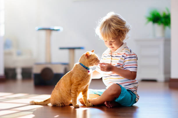 istock Child playing with cat at home. Kids and pets. 1154859205