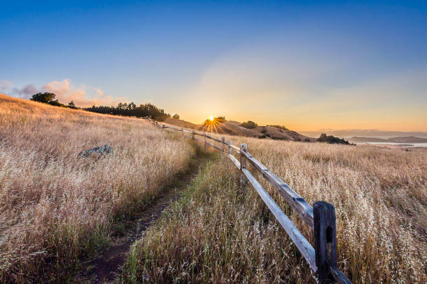 Sunrise over Mount Tamalpais Hiking along the meadows and hills of Mount Tamalpais State Park at sunrise. marin county stock pictures, royalty-free photos & images