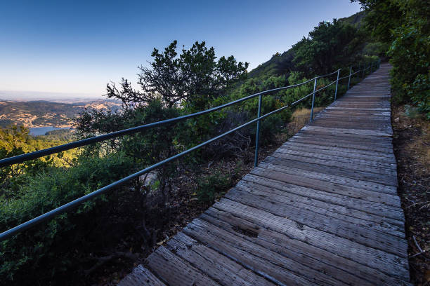 istock Sunrise over Mount Tamalpais 1154860245