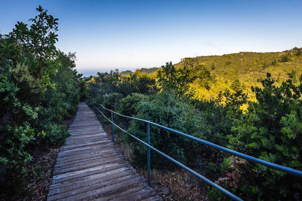 istock Sunrise over Mount Tamalpais 1154860334