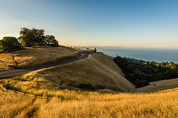 Hiking along the meadows and hills of Mount Tamalpais State Park at sunrise.