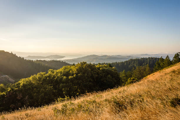 Hiking along the meadows and hills of Mount Tamalpais State Park at sunrise.
