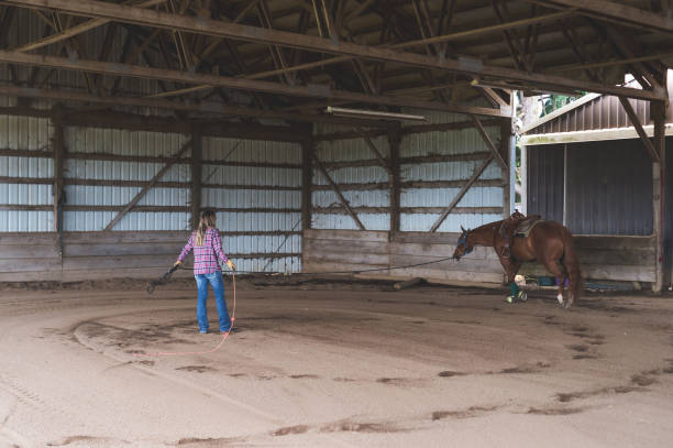 istock Woman training her horse in the barn 1154873639