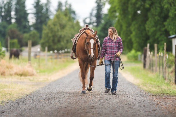 istock Woman walking her horse outside 1154873648