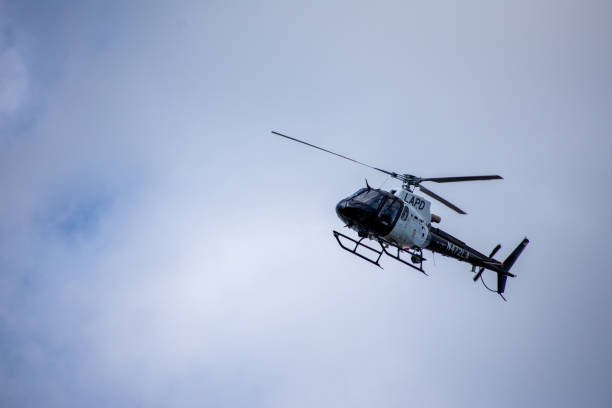 northridge, ca / united states -  may 27, 2019: lapd air unit and patrol units respond to brandishing/adw call in suburban neighborhood. - northridge imagens e fotografias de stock