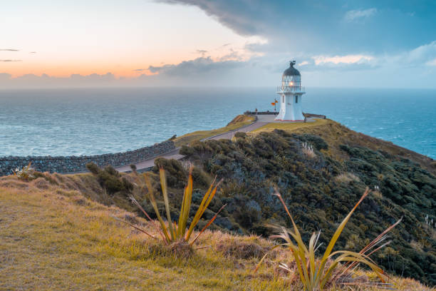istock New Zealand far North Point, Cape Reinga. 1154877440