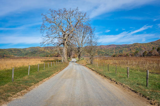 istock Great Smoky Mountain National Park 1154877449