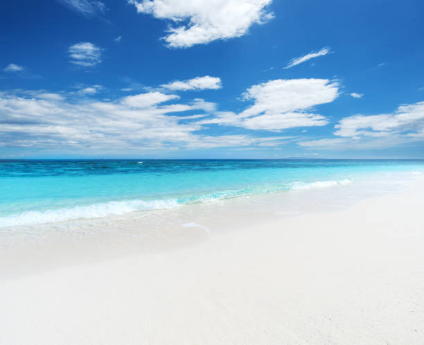 istock Sandy beach and sea with clear sky background 1154879269