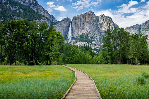 Parque Nacional de Yosemite photo
