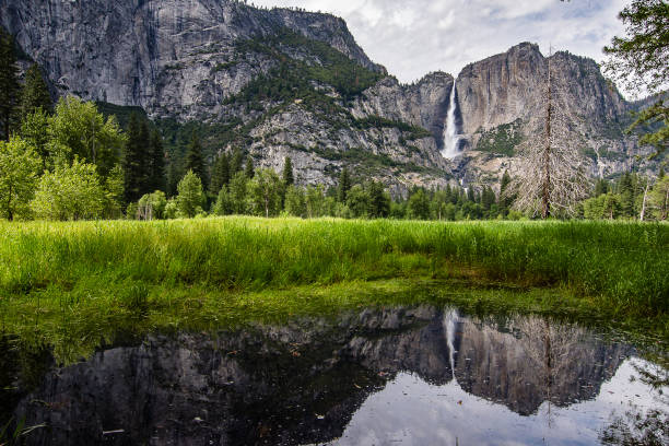 istock Yosemite National Park 1154880116