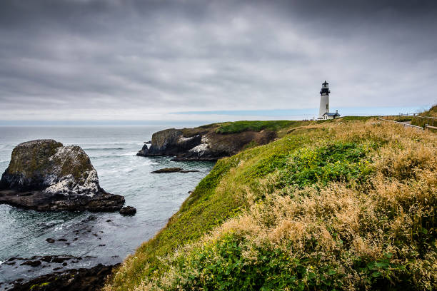 istock Newport, Oregon 1154881212