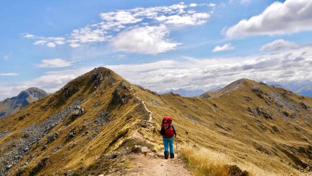istock Hiking in New Zealand 1154881337